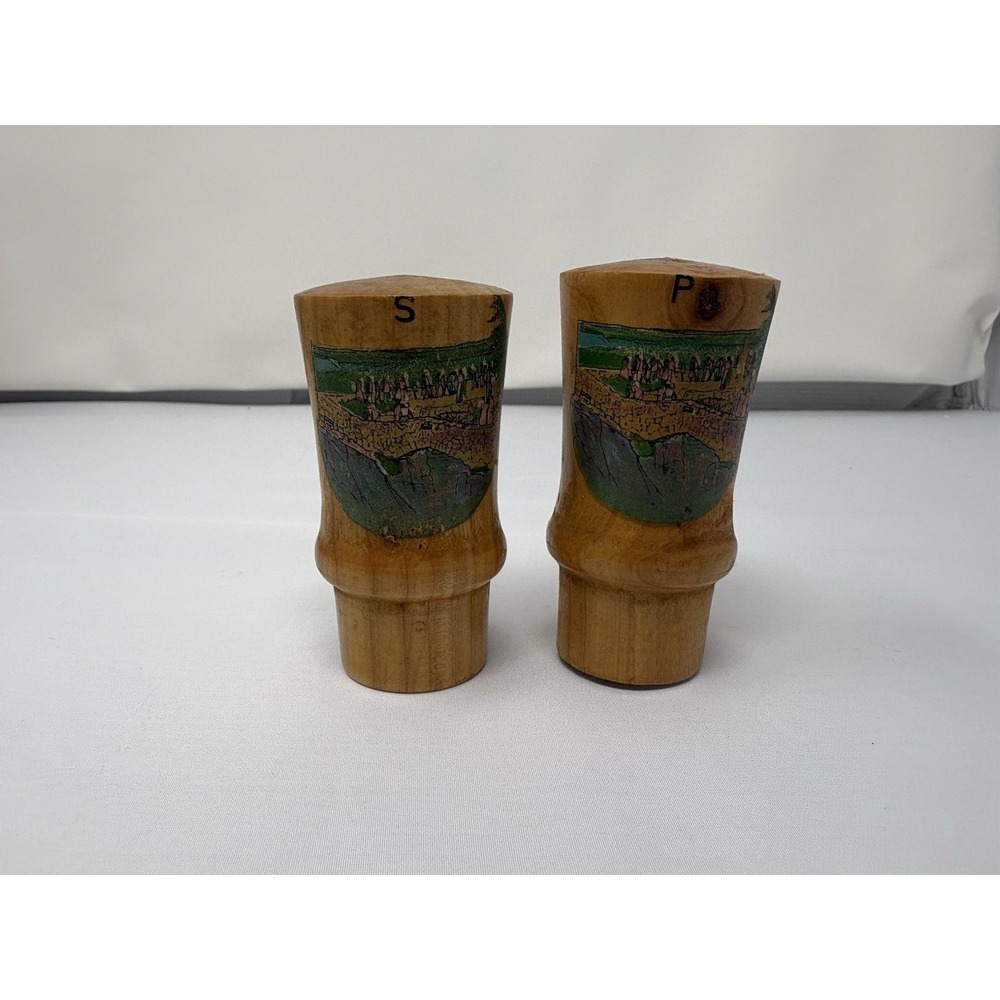 Vintage Mid Century Wooden Salt & Pepper Shakers Landscape Tourist Souvenir‎
